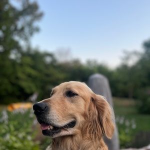 Meet your Posher, Travis